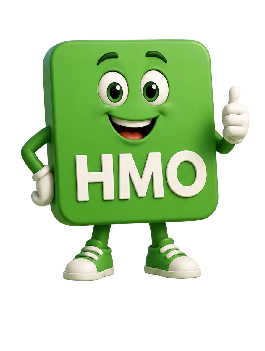 HMO guide character — a green friendly mascot for HMO plans